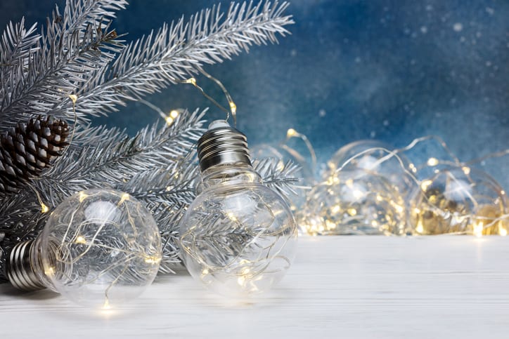 E.E.S. Inc. | Christmas tree branch with light bulb ornaments